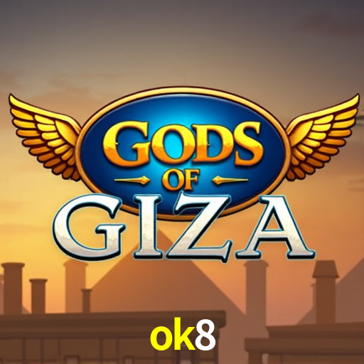 ok8 App Interface